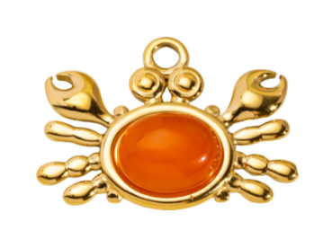 CHARM 5 / Crabe - 20x25mm