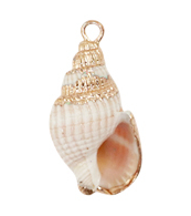 CHARM 48 / Coquillage 1 - 23-25x11-14mm
