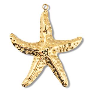 CHARM 94 / Étoile de mer 2 - 54x46mm